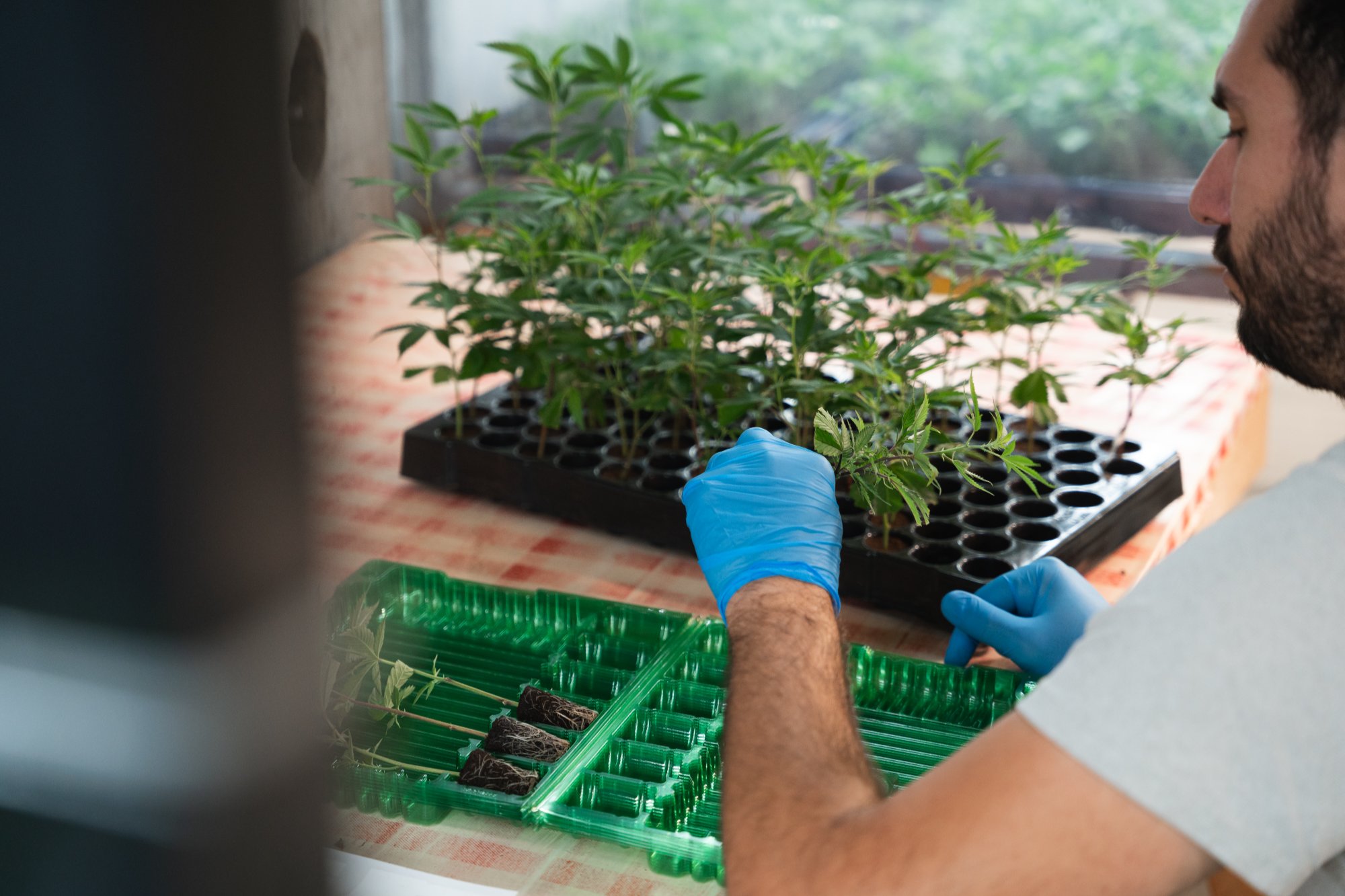 Biotech&Food laboratory